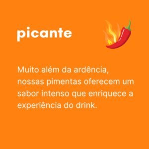 Texto do seu parágrafo
